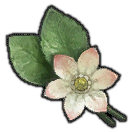 Trillium